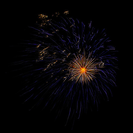 Fireworks Longford Park 2009-33.jpg