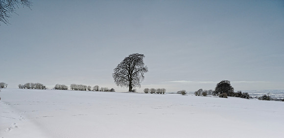 Ilmington December 2010-14