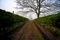 Thors Cave_2009_01_27_100_.jpg