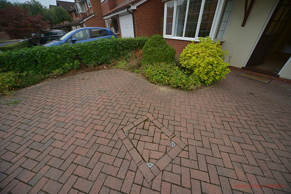 14 Garlick Drive Aug 2022 154