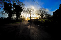 Home_2009_01_27_10__1.jpg