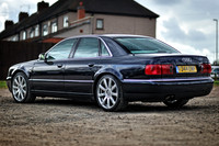 Amar's Blue S8-12