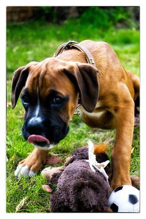 Brewster very first photos-20