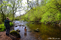 Ystradfellte, 4 Waterfalls Walk, Brecon Beacons, Wales, May 2014-86