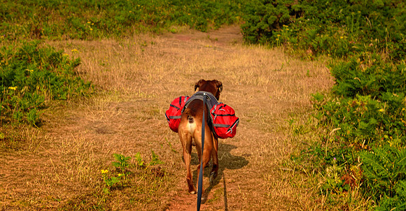 3 Cliffs Bay Wildcamp July 2013-16