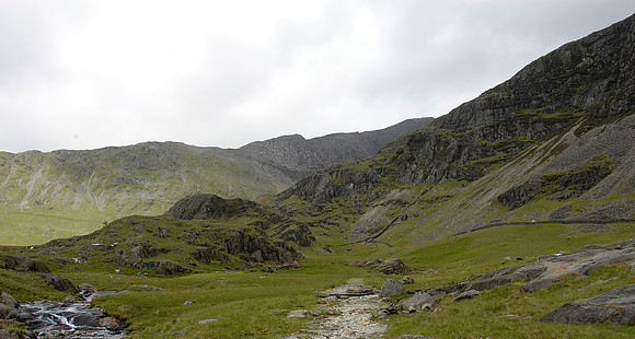 DSC_4977b
