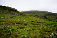 Ffestiniog Wild Camp May 2011-4