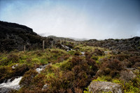Ffestiniog Wild Camp May 2011-16