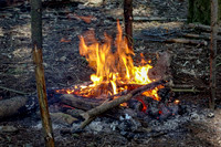 Plenty wood mega camp May 2018-20