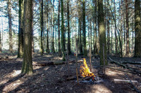 Plenty wood mega camp May 2018-11