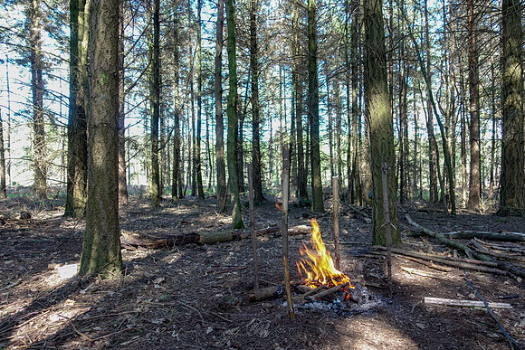 Plenty wood mega camp May 2018-11