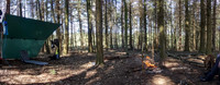 Plenty wood mega camp May 2018-8