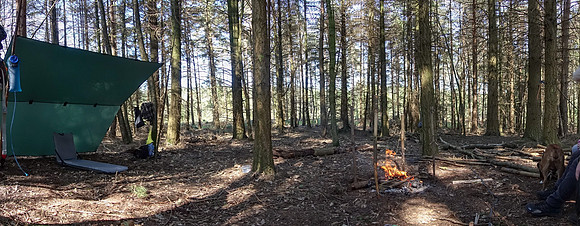 Plenty wood mega camp May 2018-8