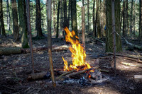 Plenty wood mega camp May 2018-10