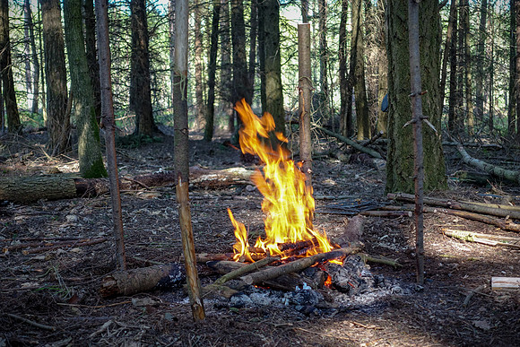 Plenty wood mega camp May 2018-10
