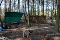 Plenty wood mega camp May 2018-32