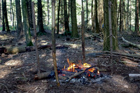 Plenty wood mega camp May 2018-22