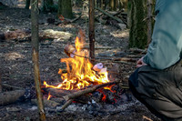 Plenty wood mega camp May 2018-17