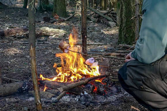 Plenty wood mega camp May 2018-17