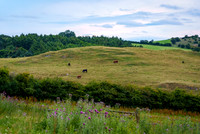 Weaver Hills 3 day wildcamp July 2024-18
