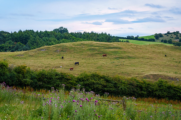 Weaver Hills 3 day wildcamp July 2024-18