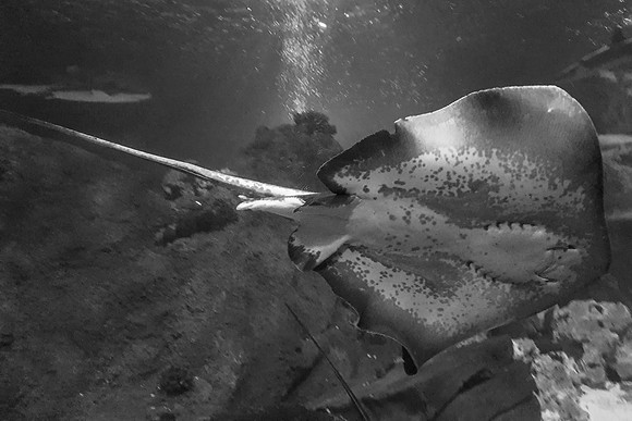 NC500 best ones for facebook-116