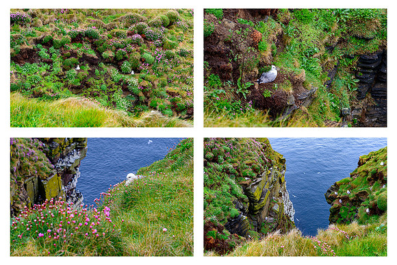 NC500 best ones for facebook-80