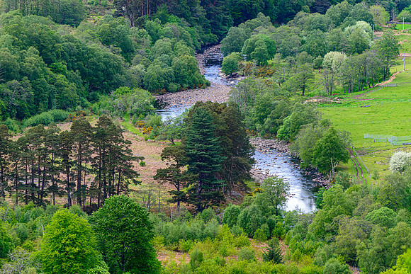 NC500 best ones for facebook-32