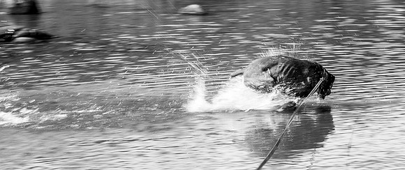 NC500 best ones for facebook-16