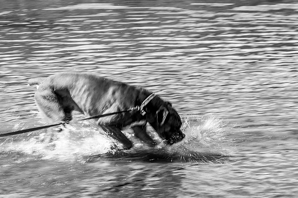 NC500 best ones for facebook-15