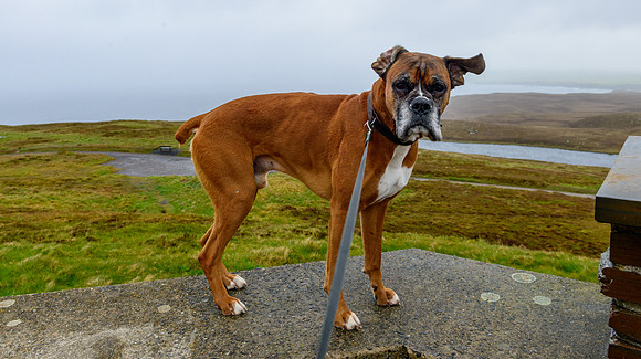 NC500 best ones for facebook-73
