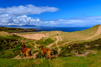 NC500 best ones for facebook-14