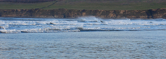 DSC_6181