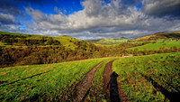 The Roaches Walk, Peak District Jan 2012-70