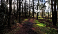 The Roaches Walk, Peak District Jan 2012-72