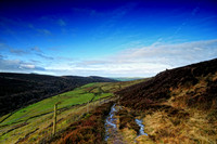 The Roaches Walk, Peak District Jan 2012-27