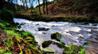 The Roaches Walk, Peak District Jan 2012-53