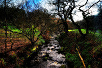 The Roaches Walk, Peak District Jan 2012-51
