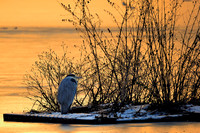 Slough_2009_01_06_14_.jpg