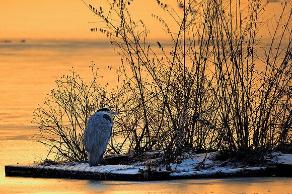 Slough_2009_01_06_14_.jpg