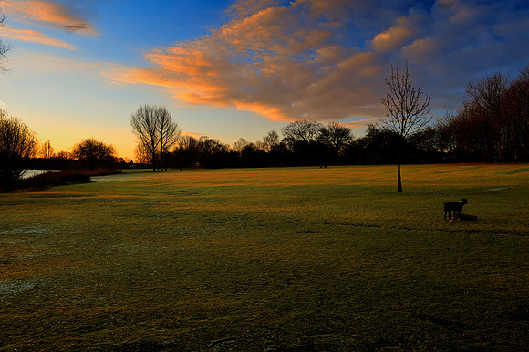 Slough_2009_01_06_07_.jpg