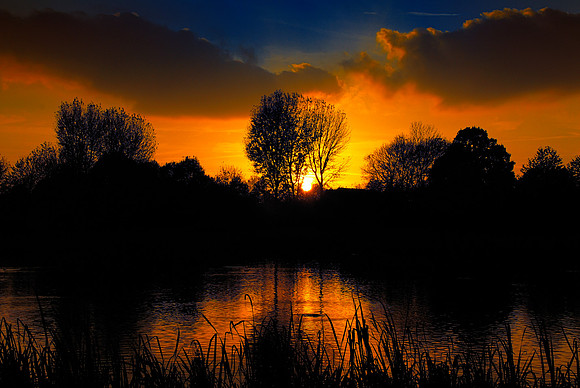 Slough & firewor_38.jpg