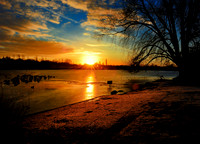 Slough_2009_01_06_10_.jpg