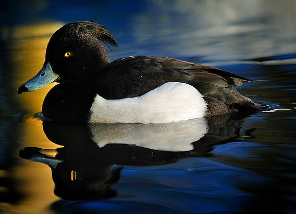 Slough_2009_01_06_31_.jpg