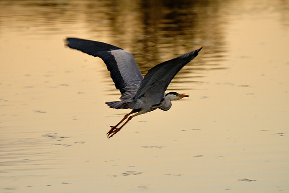 Slough_20080423_37.jpg