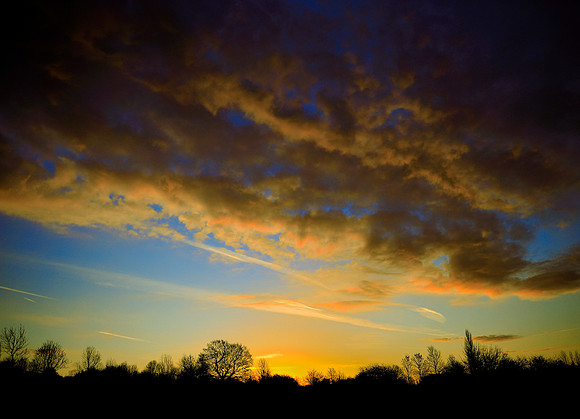 Slough_2009_01_06_03_.jpg