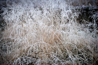 Slough_2009_01_03_04_.jpg