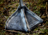 Slough_2009_01_06_41_.jpg