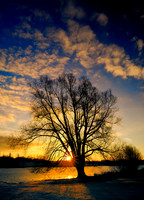Slough_2009_01_06_08_.jpg