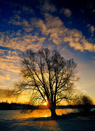 Slough_2009_01_06_08_.jpg